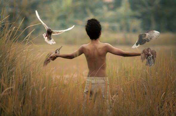 10557200_383291221820142_8822339050339997498_n