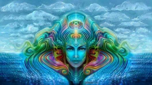 10622813_10202573683125115_4107207680436541414_n