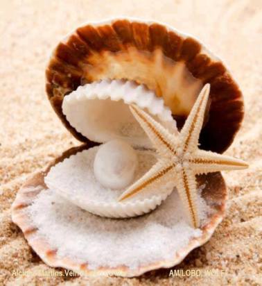 10624591_718857828191383_7934611654381220773_n