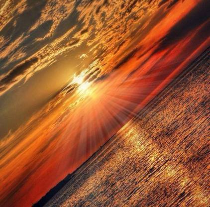 10626598_569933579778351_6439678252902684072_n