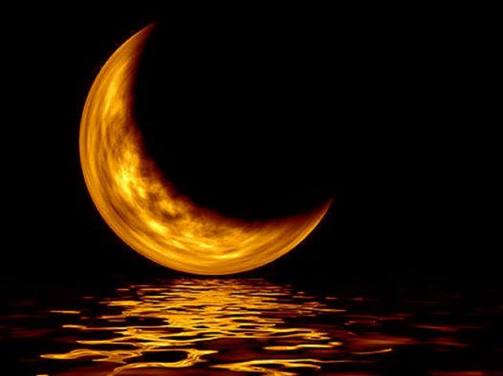 10635837_787619994617378_239755863403534646_n