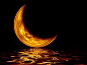 10635837_787619994617378_239755863403534646_n