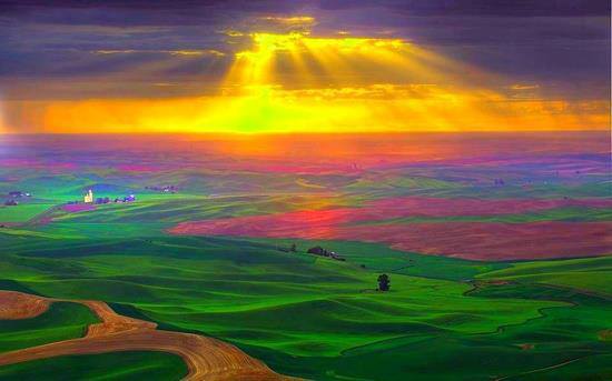 10649669_381835991969163_4474462023586685211_n