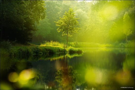 10659183_853600408004871_751623436769950695_n