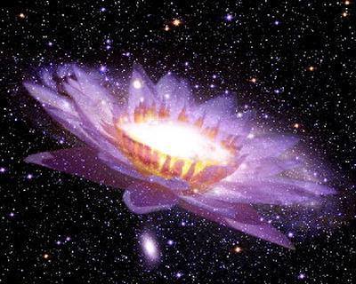 10659313_594867427306497_7369088323123482848_n