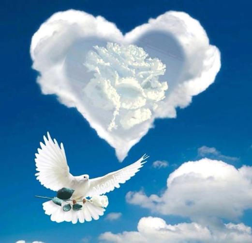 10659451_351308201691775_196698341083416523_n