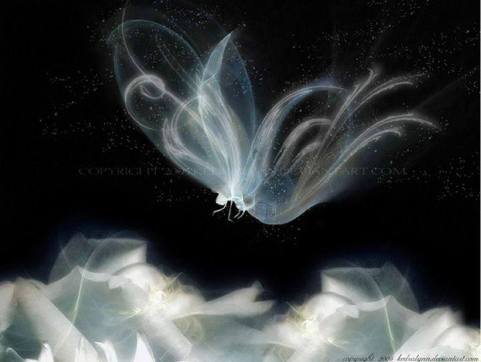 10675724_1547803205449267_3343913272460216473_n