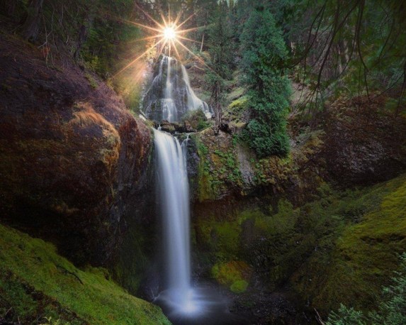 10686910_1483407391940776_75094809489031316_n