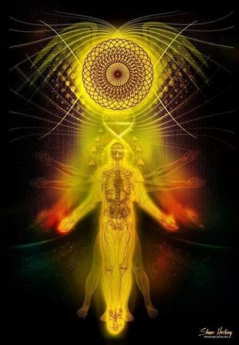 10689784_975394352474488_2799616261272901636_n