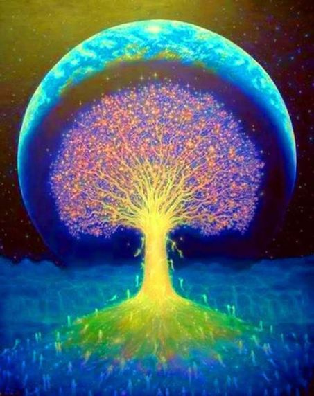 10700510_585530588237115_8955323722599647943_o