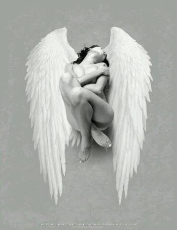 10704053_569582143146828_1715532047203367409_n