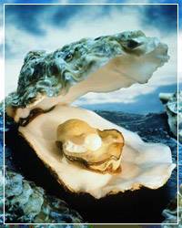 1170936_390807691047435_1645526215_n