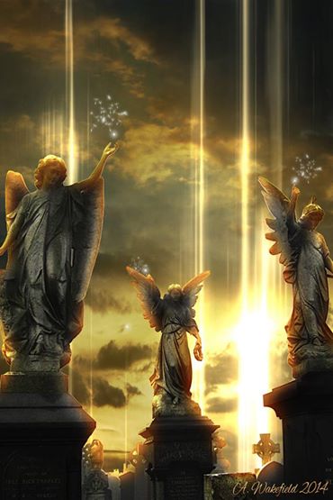 1488064_739148902824538_4546186237900866780_n