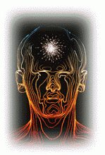 1544387_409856292480093_1038428635_n