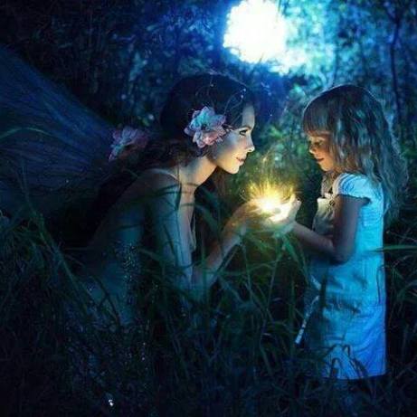 1901683_562151937219820_5229066295409966564_n