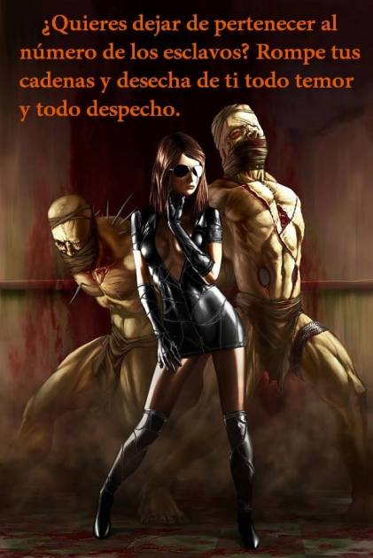 1920395_289561311193698_13820966_n