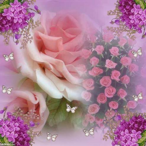 1920400_670859292975545_378407414_n