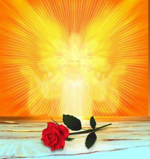 1926848_452443754858953_928431929_n