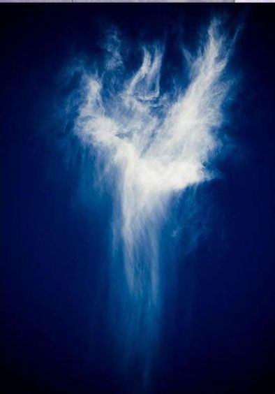 421082_174508835994599_824671438_n