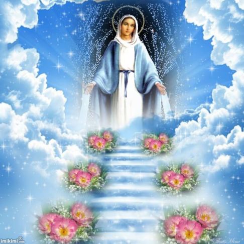 521309_289769777793019_1526651055_n