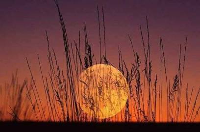 539762_545209972215082_437452180_n