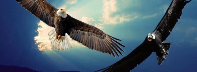 560962_422945437773503_536248880_n