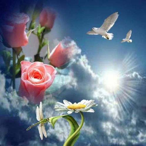 68981_803585879687456_8116888482824759471_n