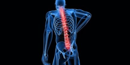 Tips-para-la-salud-de-la-columna-vertebral-221662_540x270