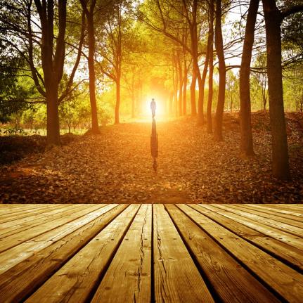 1011072_10152365012367344_7510321857720172966_n