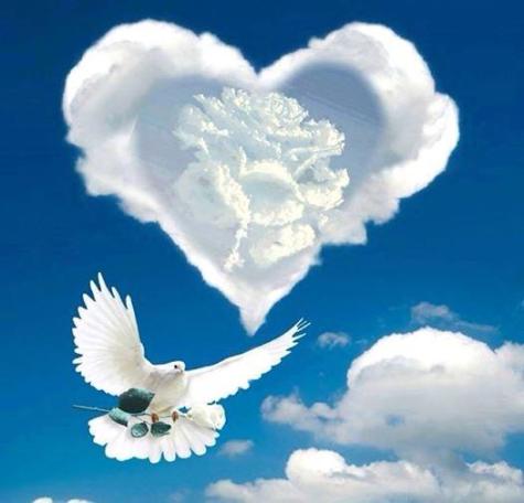 1012903_798004696923846_1861394368775693216_n