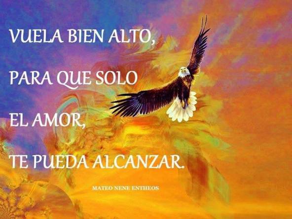 1013358_657460164311823_1459950401_n