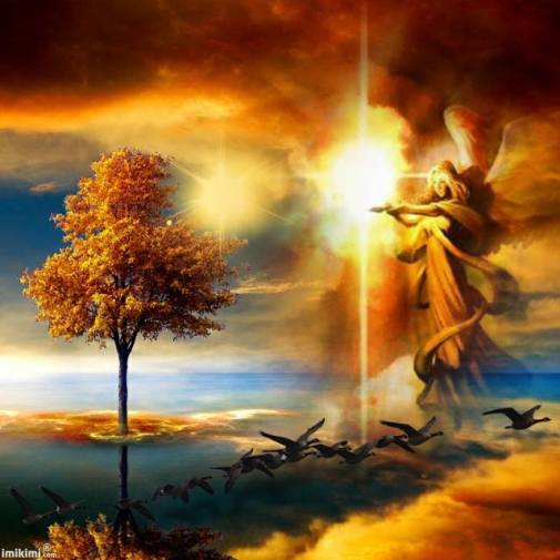 10309487_532937516809576_5305942216823344098_n