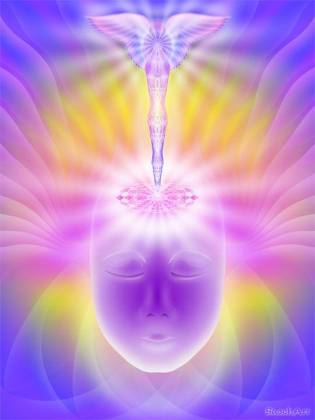 10384191_728634843892139_7529821488097342699_n