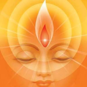 10410567_618059591637333_7995159442889379570_n