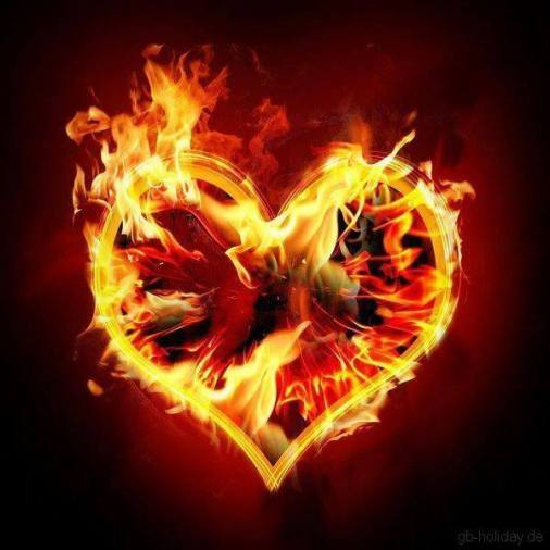 10419603_336874179824862_7509548566080040400_n