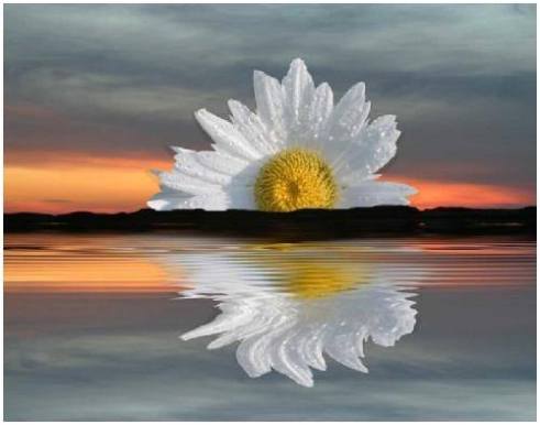 10423823_830437360341968_2693839960609234512_n