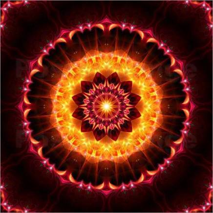 1044923_397602197012305_1204058463_n