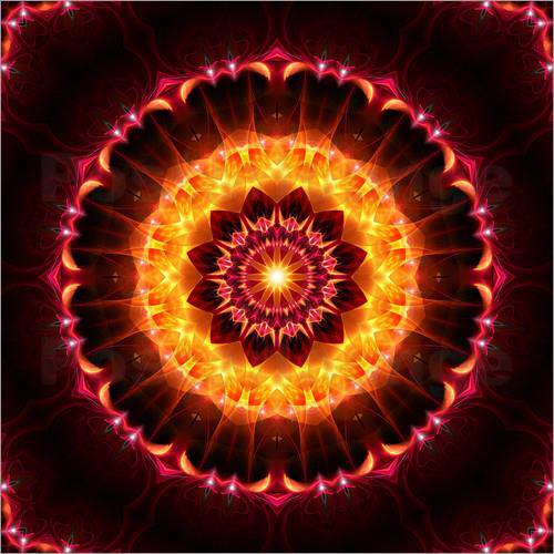 1044923_397602197012305_1204058463_n