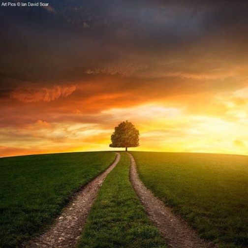 10462752_285331004979541_6411416222696340776_n