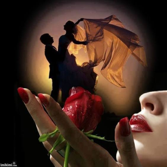 10484952_1545997098947350_2582658386966832410_n