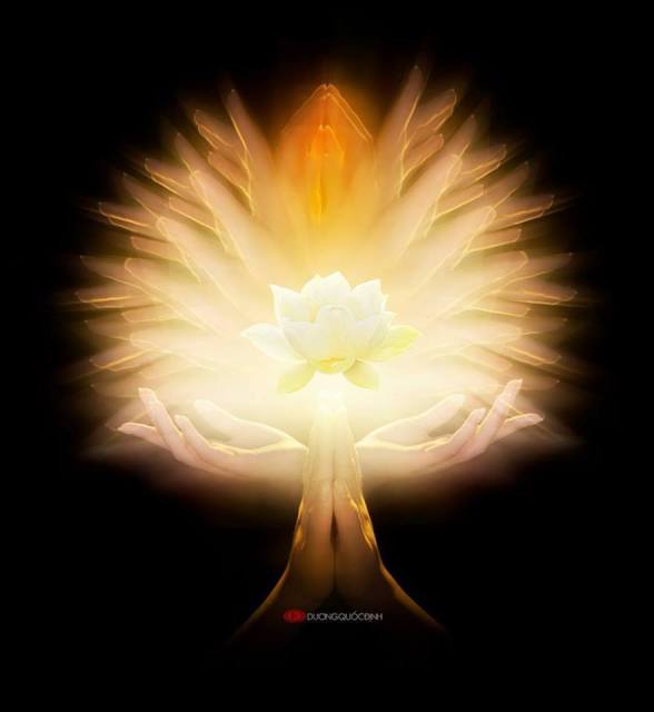 10533442_591263464316946_4256998067987336337_n