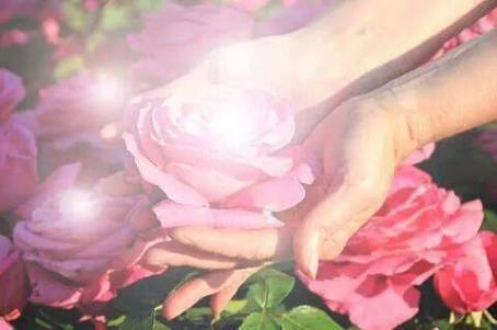 10534709_422542294555097_3847129898499094721_n