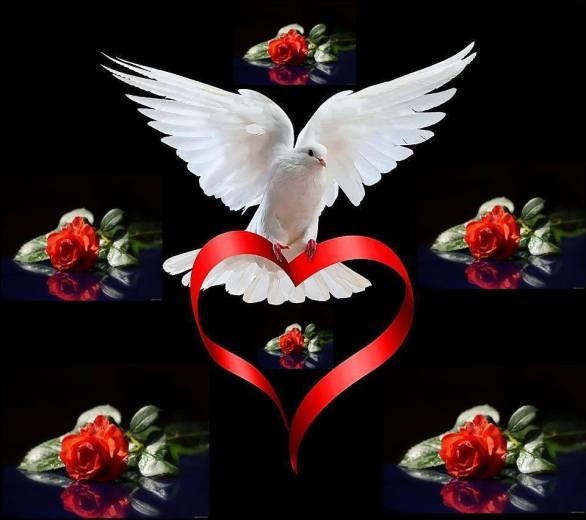 10544396_4786336553091_3623521900451058018_n