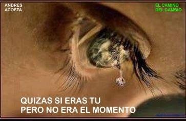 10636081_725590600839399_2625768468813710514_n