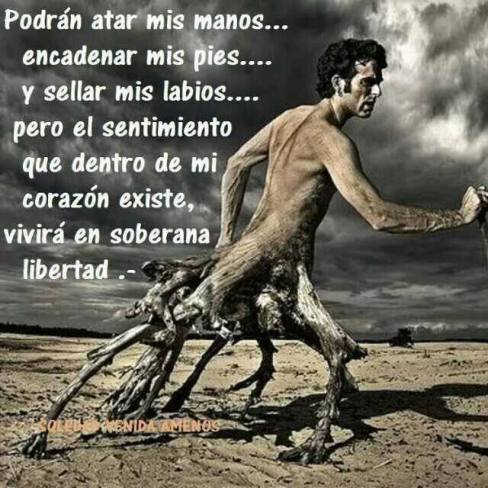 10653512_1521791968062185_4734055227112088009_n