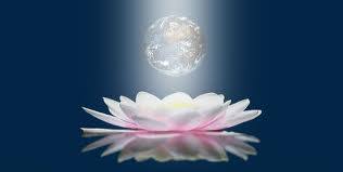 10686947_1503504189914471_895474116277643758_n