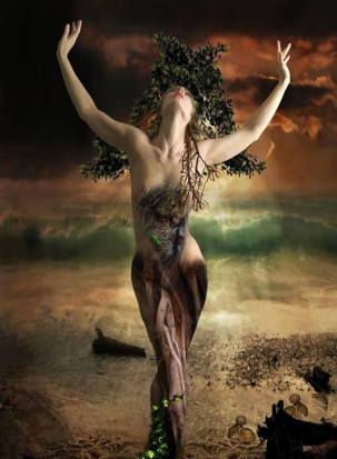 10710851_728299127219222_6488660304280436454_n