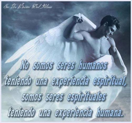 10799333_986914801322443_1102259837_n