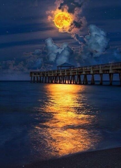 10815644_10152078564052706_801997057_n