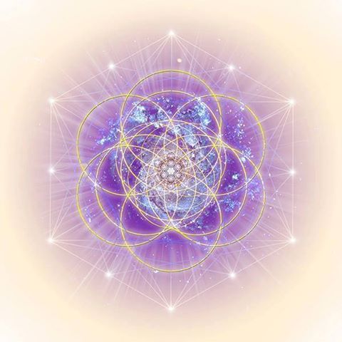 1393423_639676036075469_1470660980_n